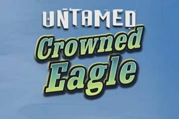 Untamed Crowned Eagle spelautomat