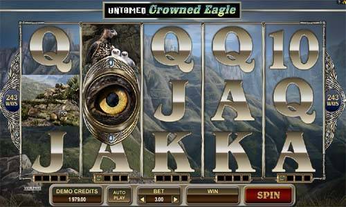Untamed Crowned Eagle