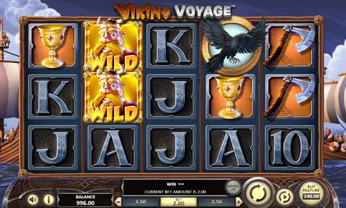 Viking Voyage