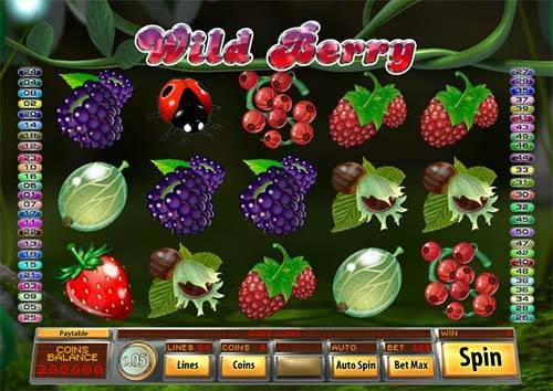 Wild Berry spelautomat