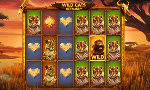 Wild Cats Multiline