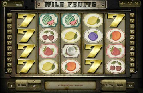 Wild Fruits spelautomat