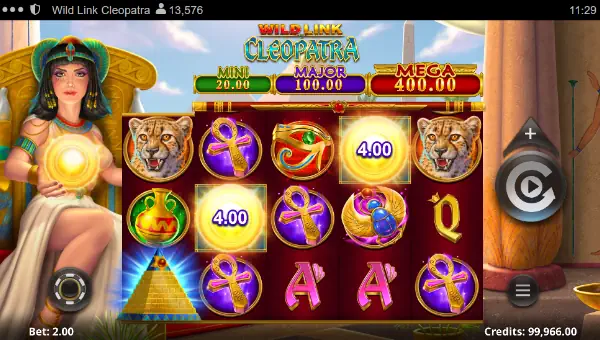 Wild Link Cleopatra