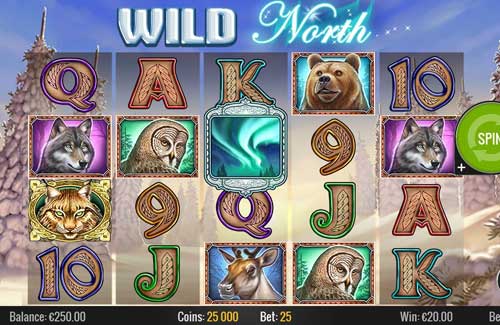 Wild North