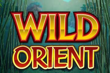 Wild Orient spelautomat
