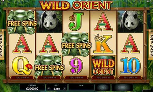 Wild Orient