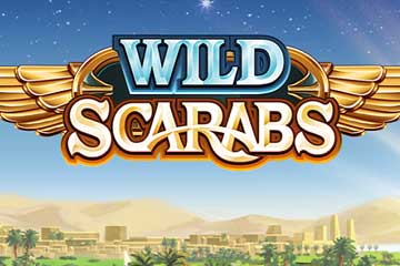 Wild Scarabs