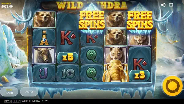 Wild Tundra
