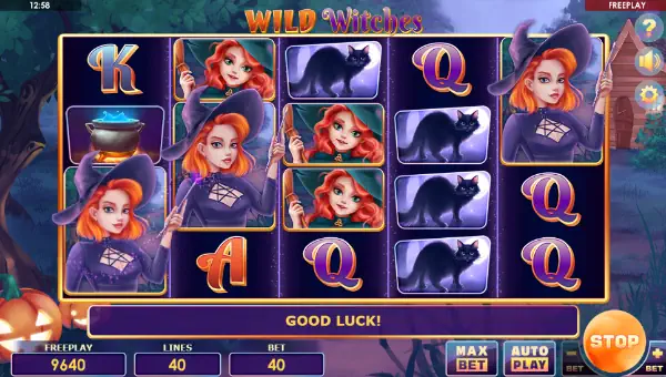 Wild Witches