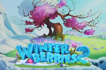 Winter Berries 2