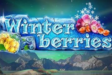 Winter Berries spelautomat